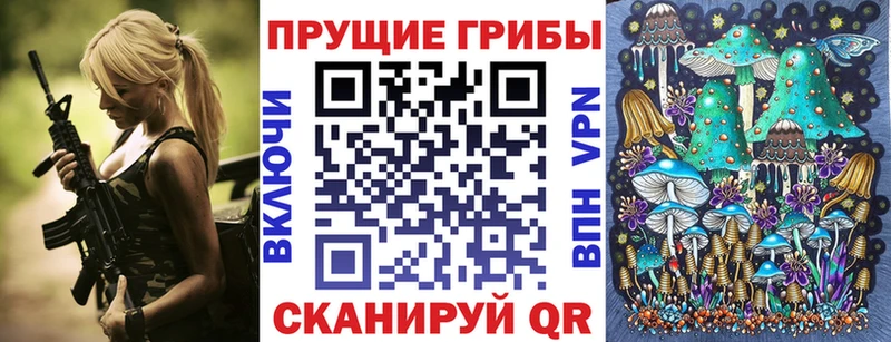 Псилоцибиновые грибы Psilocybine cubensis  закладки  Ермолино 